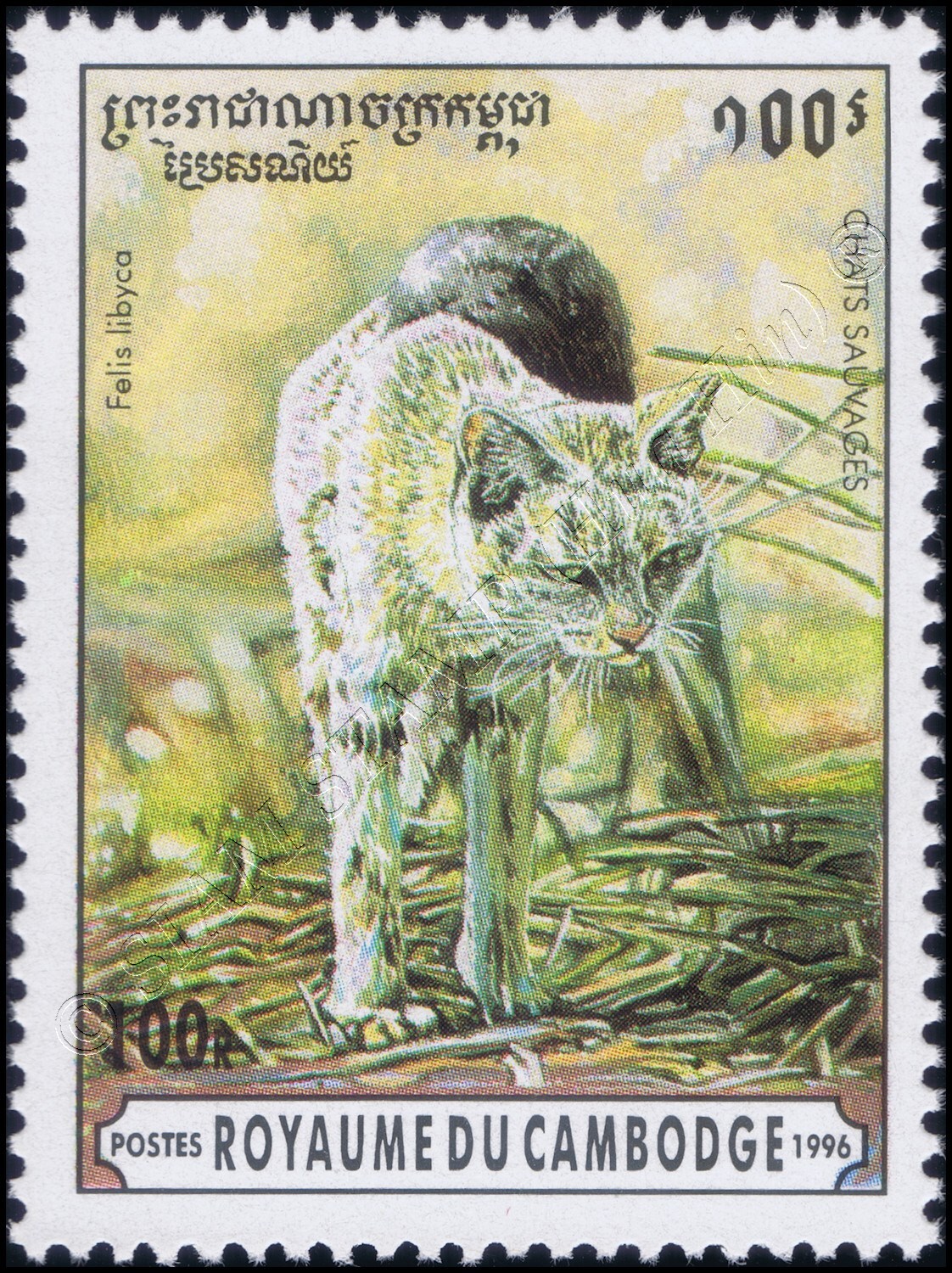 Foto 2 di 7