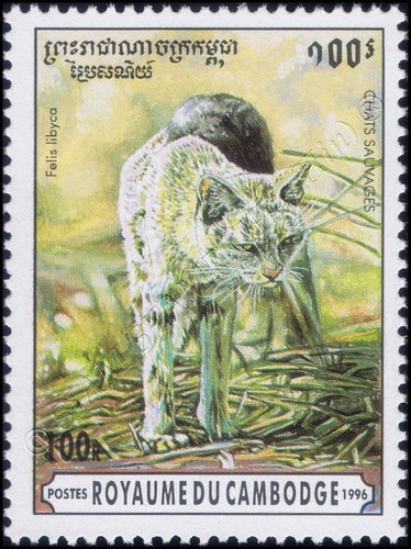 Gatti piccoli (MNH) - Foto 2 di 7