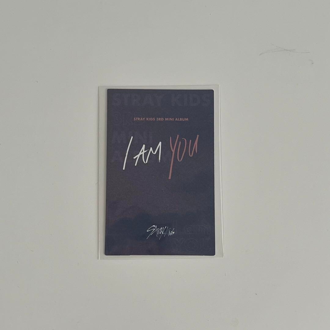 stray kids i am you 直筆サイン入りアルバム ハンジソン STRAY KIDS HAN JISUNG I AM YOU LIMITED FIRST PRESS OFFICIAL Bonus