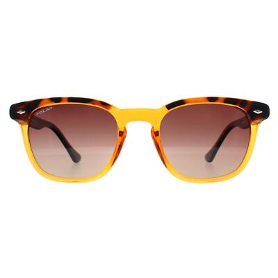 Polar Sunglasses 362 COL.431 Shiny Crystal Honey Havana  display picture 3