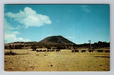 Raton casi nuevo-nuevo México, Mt. Postal de recuerdo vintage antigua Capulin