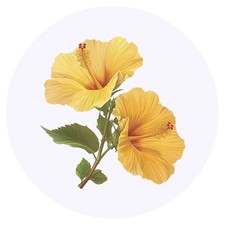 24 x 'Hibiscus Flowers' Stickers (SK00075629)