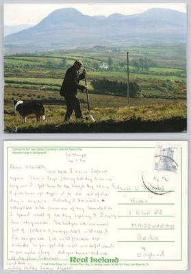 c42016 Rasenschnitt Clifden Irland Postkarte 1984 Briefmarke