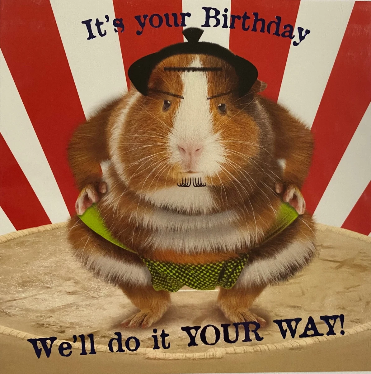 Funny Guinea Pig Sumo Wrestler It's your Birthday We'll do it your way!  Card | eBay