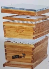NEW BeeCastle 10-Frames Complete Beehive Kit Includes Beehive Frames 1 Deep Box,