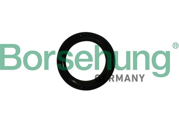 Borsehung Wellendichtring, Kurbelwelle B12179 FüR Audi Seat Skoda VW-image