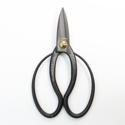 Senkichi Gold Bonsai Okubo Shears   180mm General Pruning Scissors for Trimming