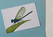 ACEO Original Art Card Water-based Marker Drawing Dragonfly Signed 2.5 x 3.5in