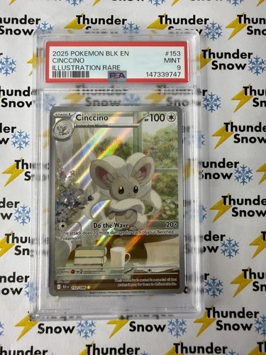 Cinccino #153 Illustration Rare 2025 Pokemon Black Bolt PSA 9