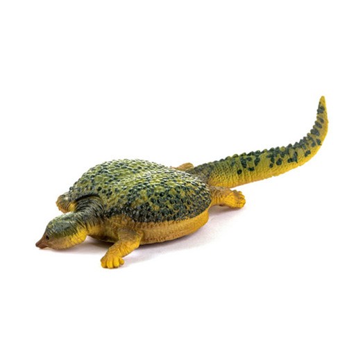 PNSO bambini museo educazione set figure dinosauro raro Placochelys regalo bambini - Foto 2 di 7