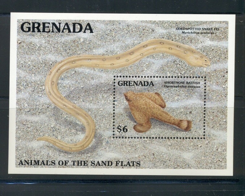 Grenada 1991 #2026 MNH Marine Life