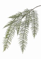 Artplants KüNstlicher Zweig KöNigsfarn Zweig Kimon, GrüN, 120Cm