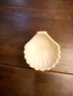 Vtg Westmoreland Pale Pink Milk Glass Clam Shell 3 Footed Candy/Trinket Dish