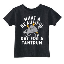 Toddler Funny T Shirts What A Beautiful Day for A Tantrum Sarcastic Graphic