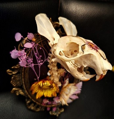 Handmade one of a kind oddity entitled, The Almost Mouse. Ethically sourced 