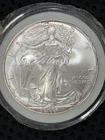 Silver Eagle 2006 Toning around edges