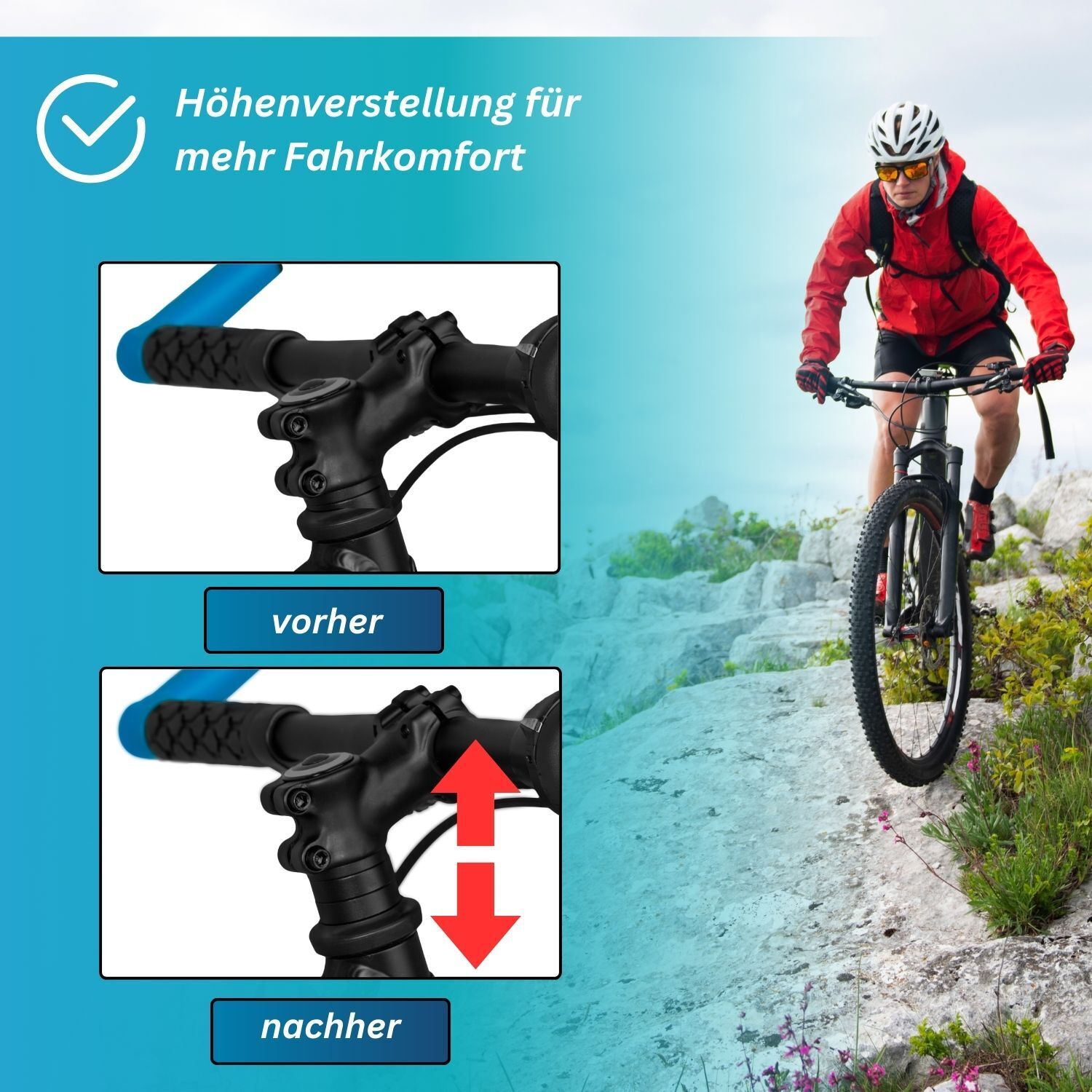 Bild 3 von 6