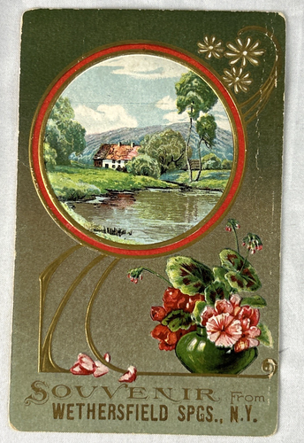 Cartolina ricordo in rilievo Wethersfield Springs, New York circa 1911