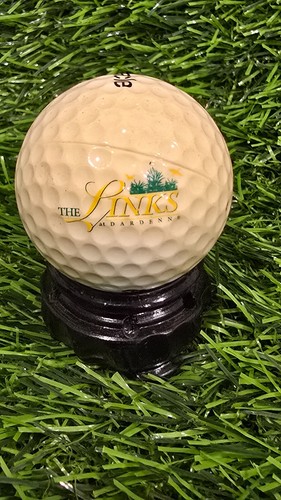 *YOU PICK* Golf Course Collector Logo Golf Balls - Picture 35 of 44