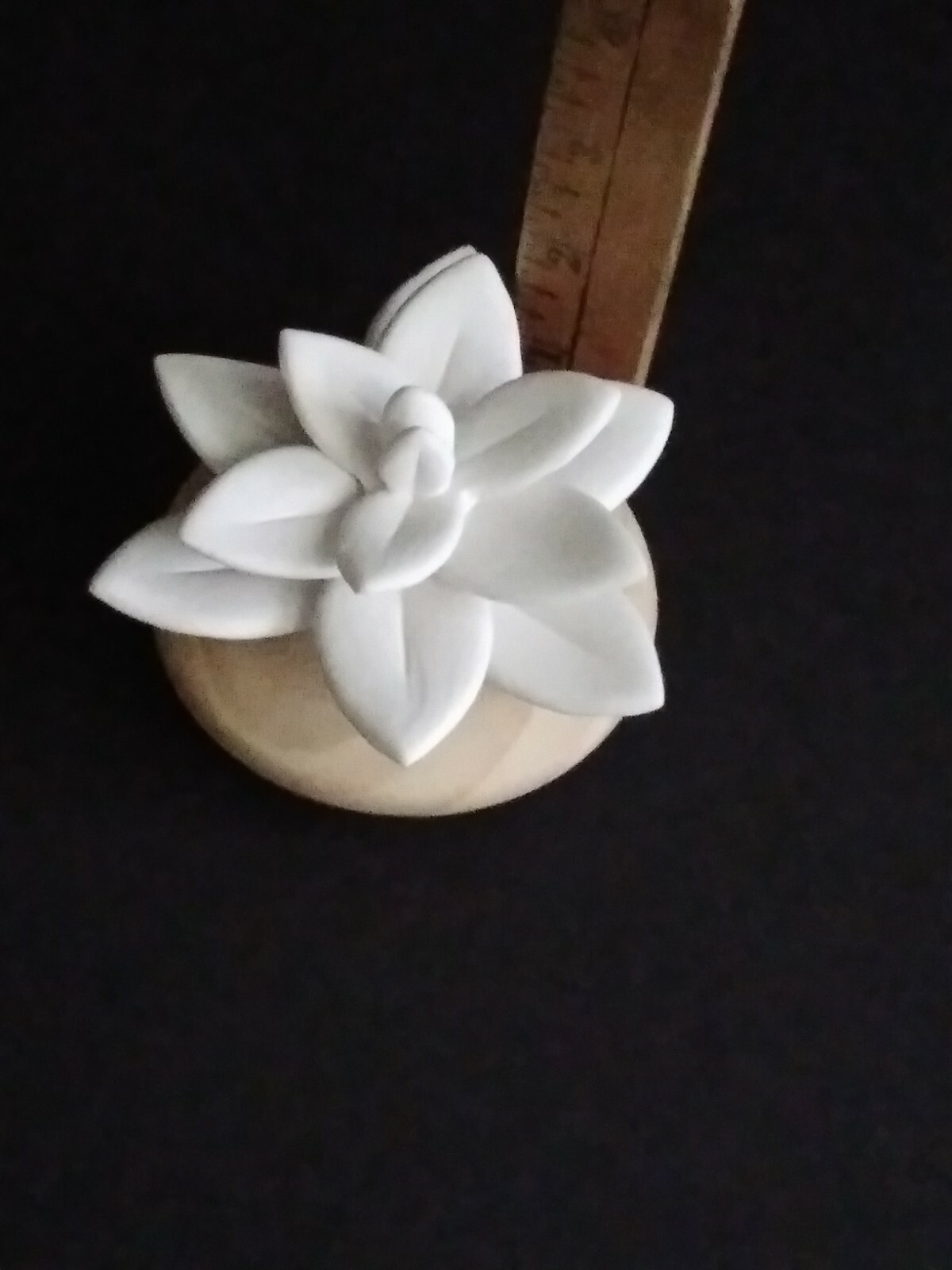 Picture 6 of 12
