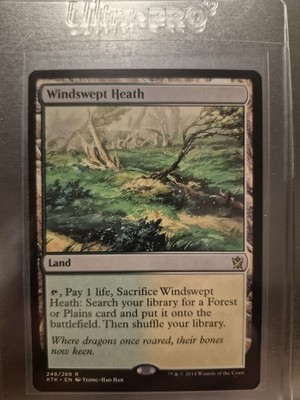 Magic: The Gathering, Windswept Heath MINT