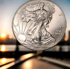 2012 Silver Eagle THIS ONE SHOULD SQUEEZE YOUR LEMON UNTIL THE JUICE RUNS DOWN Y