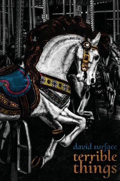 Terrible Things David Surface Taschenbuch Kartoniert / Broschiert Englisch 2020-image
