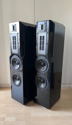 Lautsprecher ACR RP200 Isostatic