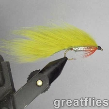 1 dozen (12) - Zonker - OLIVE