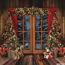 10'x10'Computer-painted CP Christmas Season Scenic background backdrop BHF1647