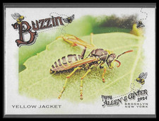 2024 Topps Allen & Ginter Buzzin' #BUZ-13 Yellow Jacket Card