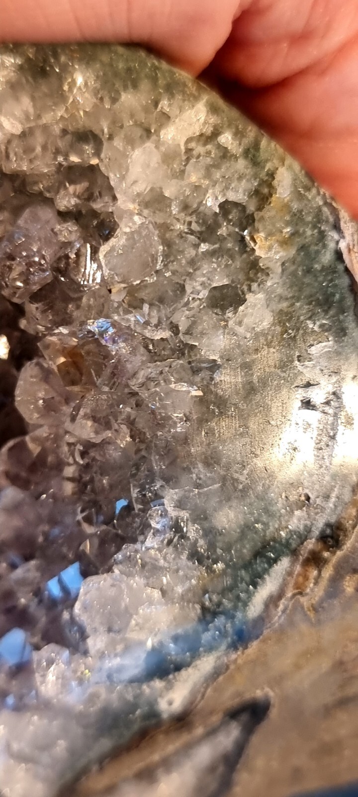 Bild 8 von 12