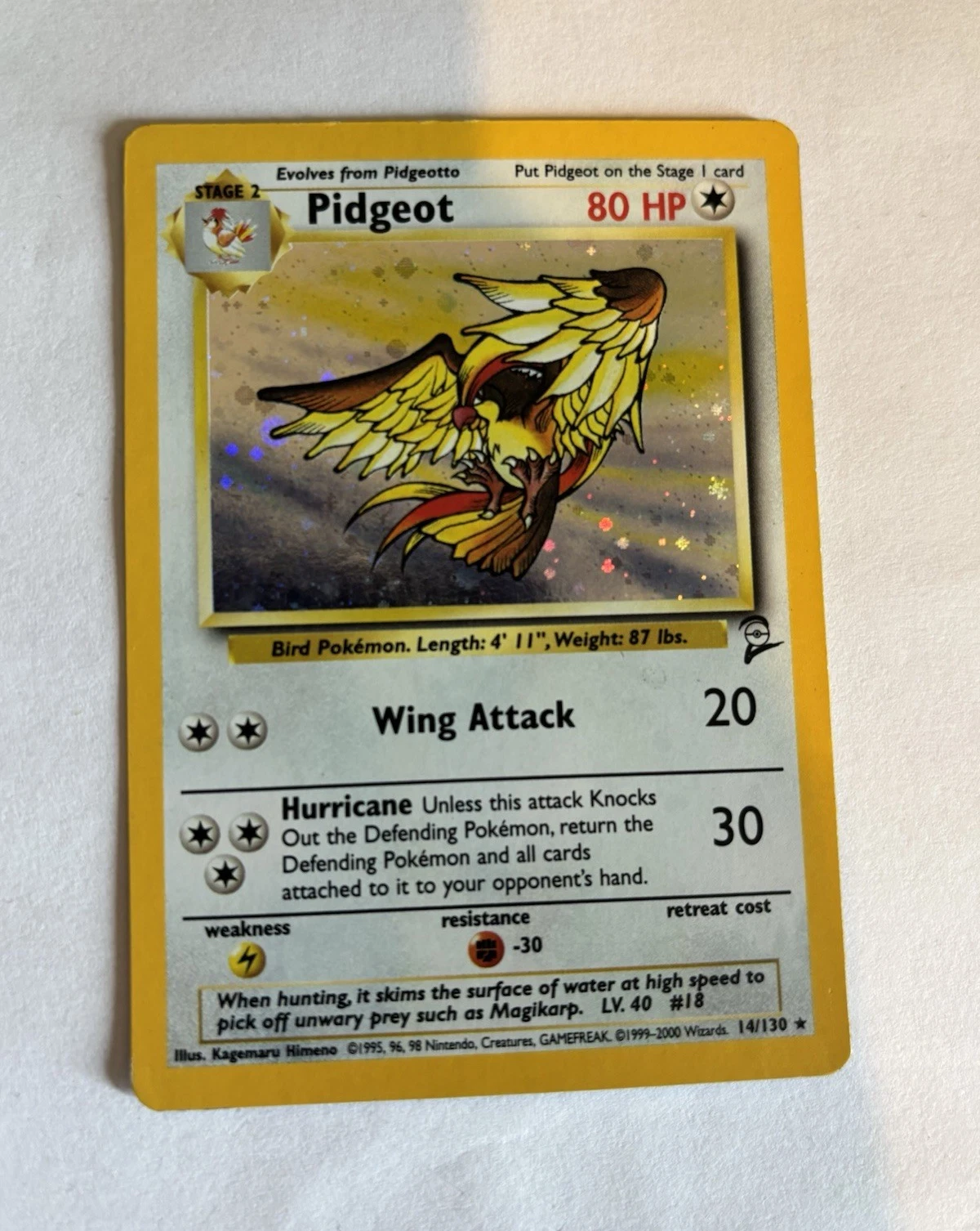 Wizards of the Coast Pidgeot 014/130 Base Set 2 Holo Rare 80HP Stage 2 EN 1999