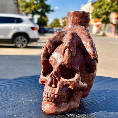 3.39LB Natural Indian Red Skull Hand Carved Skull Healing
