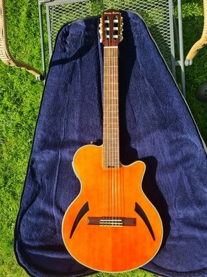E-Gitarre Harley Benton  mit Transport Tasche