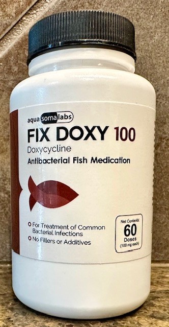 FOR FISH Aquariums & FISH Tanks Fix Doxy 100mg/60 CT doses