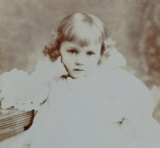 Antique Portrait Photograph Cardboard Mount 2 Year Old Girl Blonde Curls  #14905
