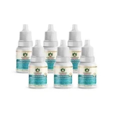 Maharishi Ayurveda PRANDHARA Drops 3ml (Pack of 6) Common Ailments Herbal Remedy