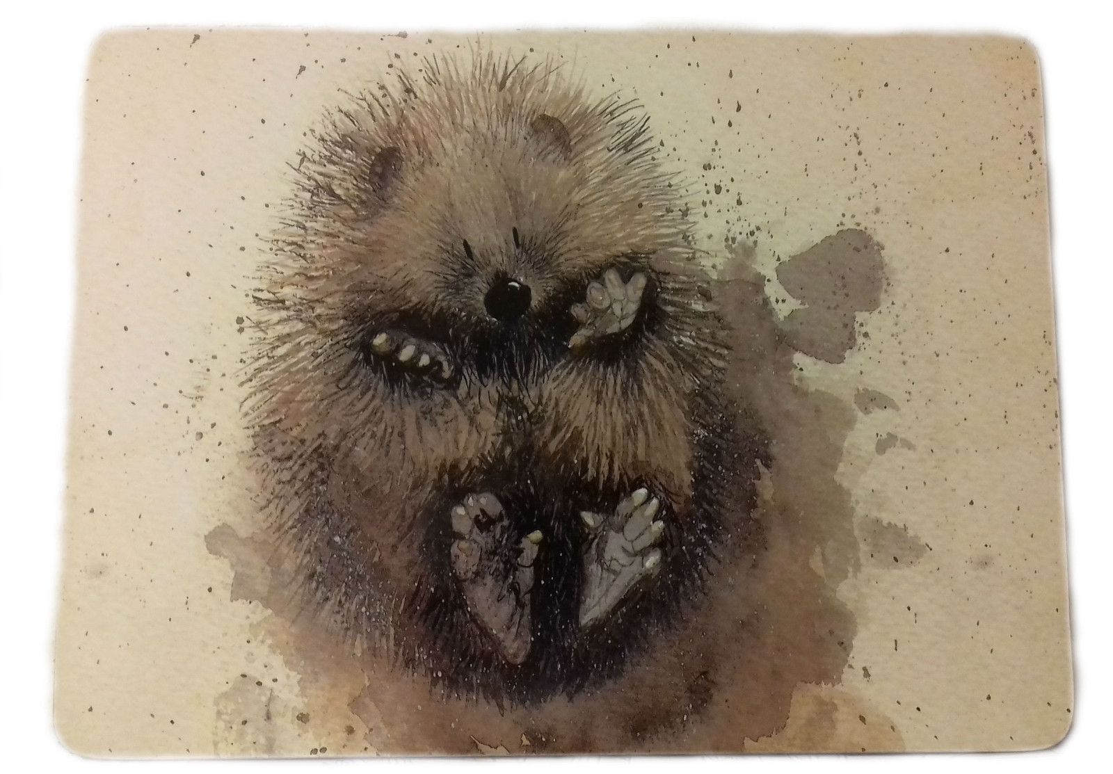Prickles the Hedgehog Placemat, Alex Clark, Countyside Animals, Dinner Time MT24
