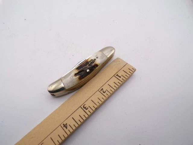 Faca Parker Cut Stag quatro lâminas Sowbelly quase perfeita - Imagem 3 de 3