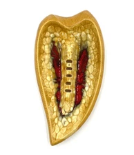 Vintage Ashtray Cigarette Ashtray Retro Home Decor Gambles Import Co Japan CHIP.