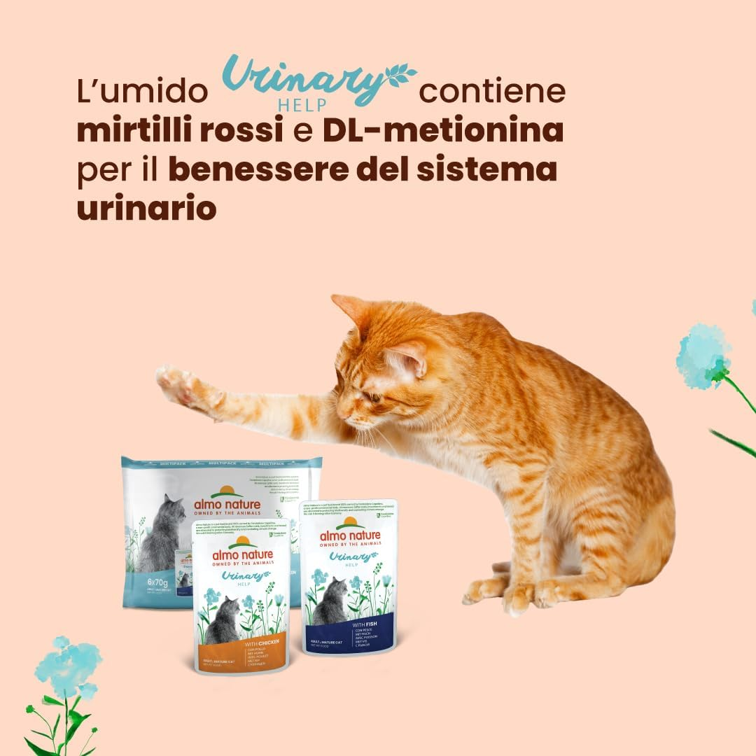 Foto 4 di 12