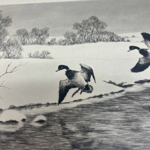 ART PAPER ETCHING PHOTO PRINT Hans Kleiber Horses At The Hitch Rack Wyoming Old - Picture 12 of 17