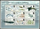 BRITISH ANTARCTIC TERRITORY 2014-SGMS658 ANTARCTIC MARINE FOOD WEB MNH