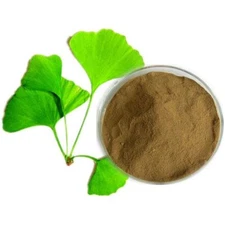 Gingko Biloba Extract Powder 24% Gingko Flavones Free Shipping 2000 Gram