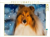 Puzzle Calvendo Un Magnifique Colley | 1000 PièCes, Format Assemblé 64 × 48 Cm |