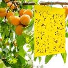 12Pcs Dual-Sided Yellow Sticky Traps for Capturing Flying Plant Insects 4''x8"