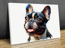 Frech Bulldog happy face colourfull, mounted canvas print art ready to hang
