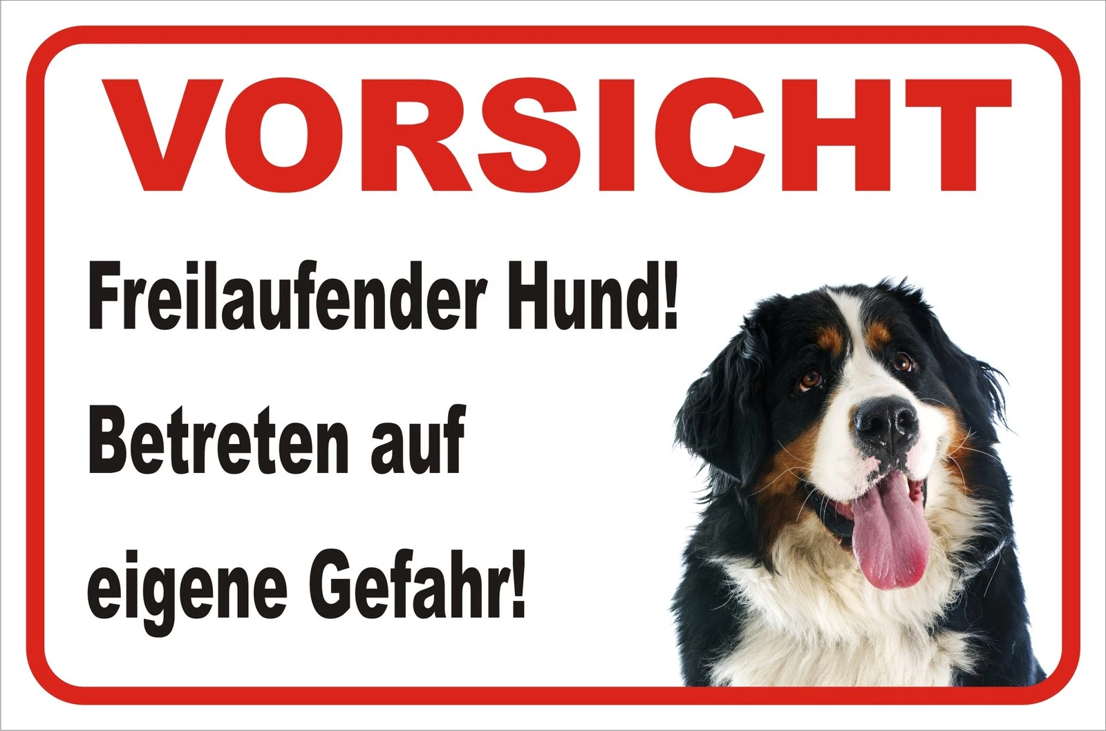 Bild 3 von 7