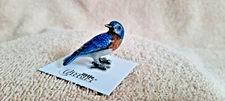 LITTLE CRITTERZ Eastern Bluebird "Melody" Miniature Figurine New FREE SHIP LC563